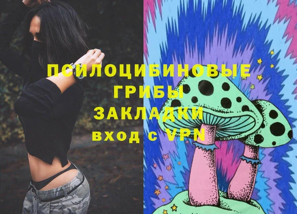 не бодяженный Надым
